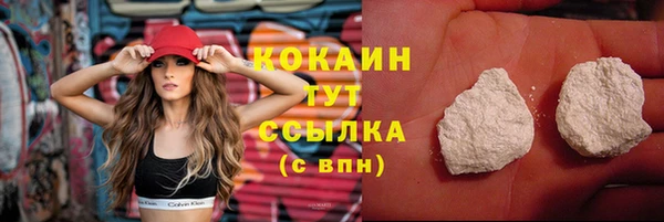 индика Белокуриха