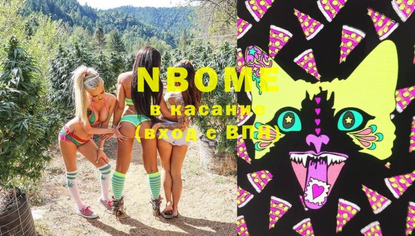 индика Белокуриха
