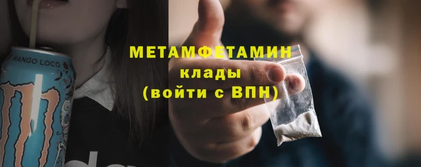 индика Белокуриха