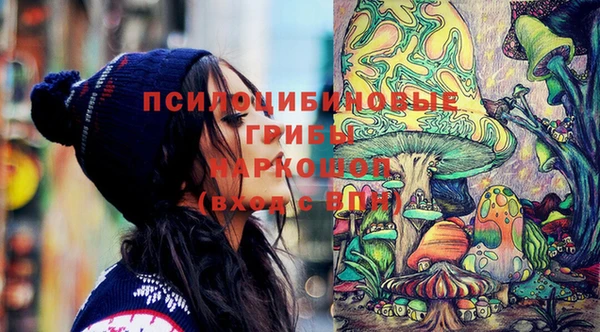 spice Беломорск