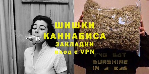индика Белокуриха
