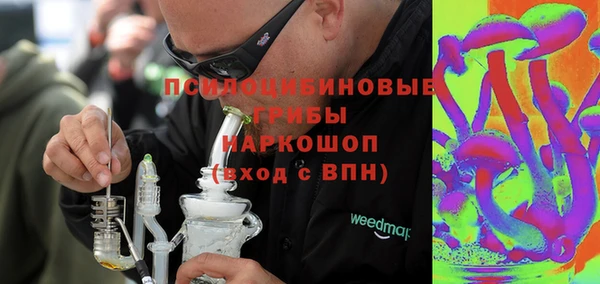 индика Белокуриха