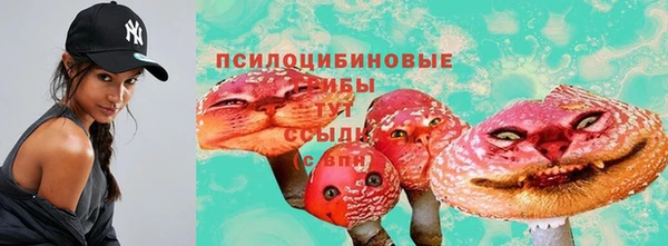 spice Беломорск
